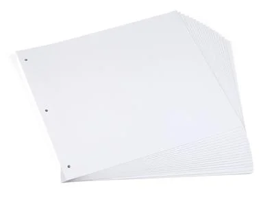 Chinle Pages