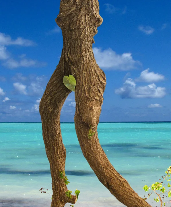 Tree Woman