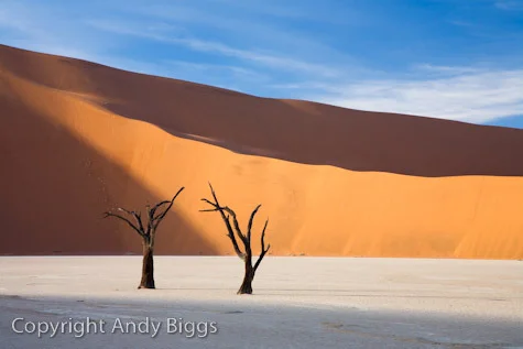 Deadvlei