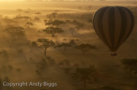 Balloon over Serengeti