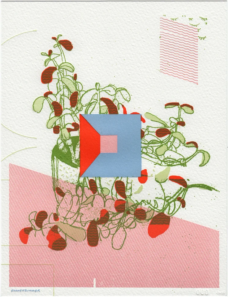 DWRI Letterpress & Sonnenzimmer