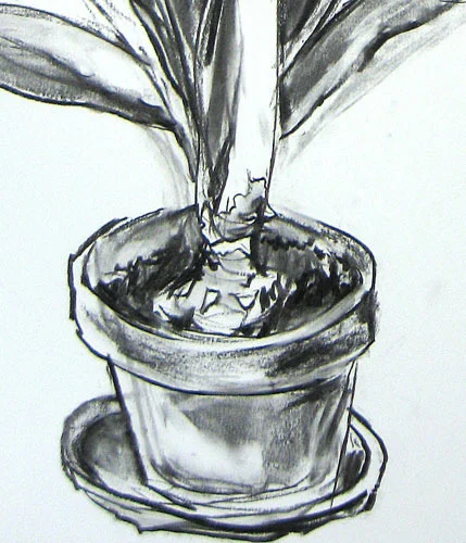 Jennet Inglis