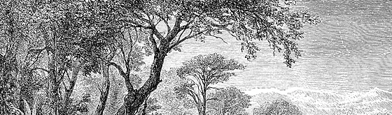 french-marble-header.png