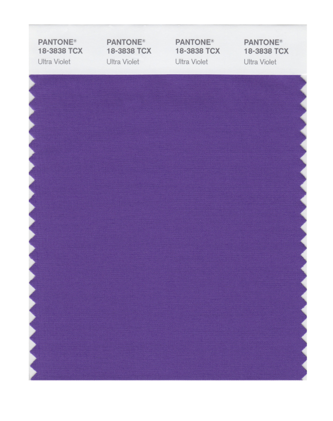 purple.jpg