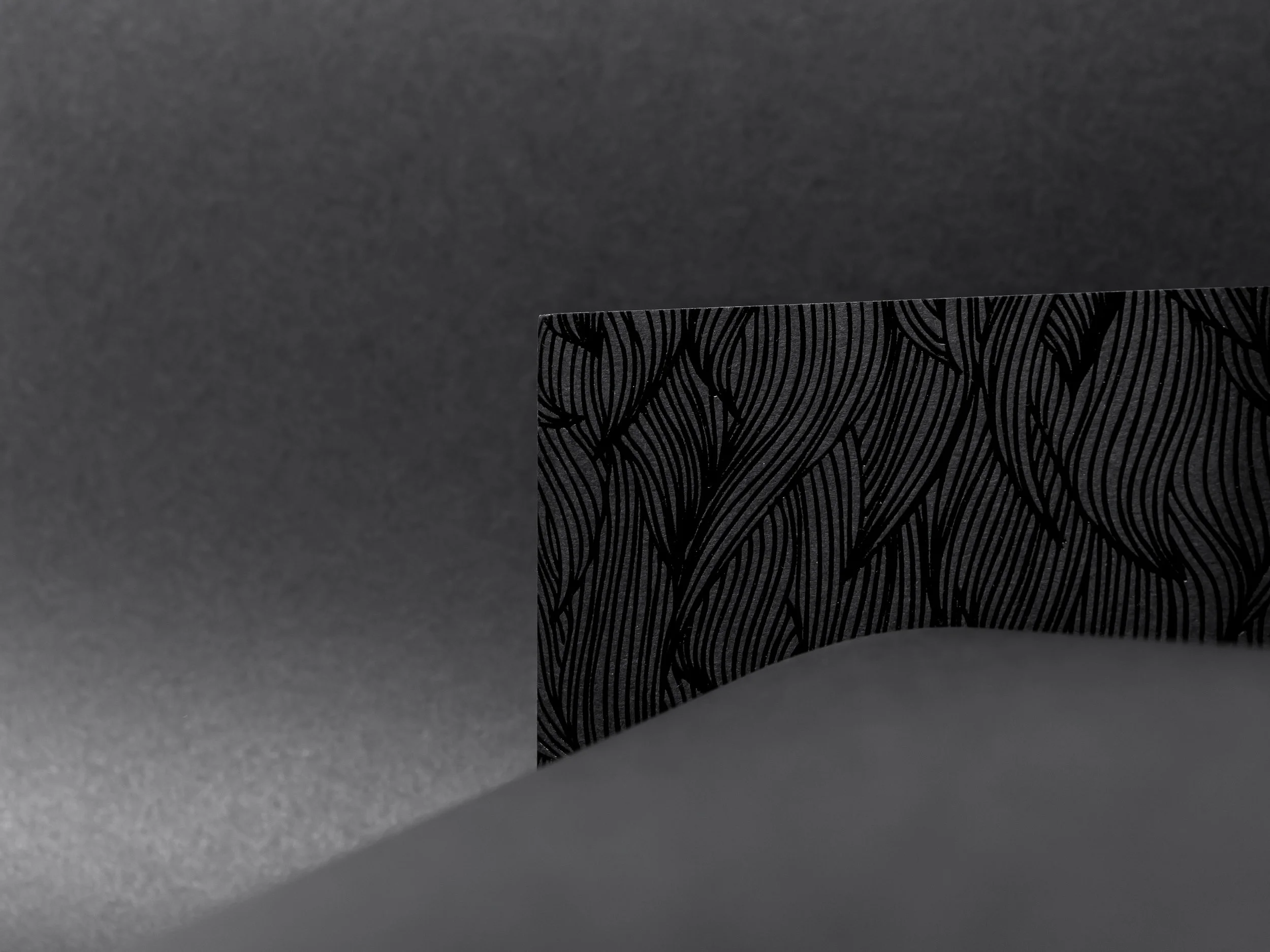 Colorplan - Studio - HR-66.jpg