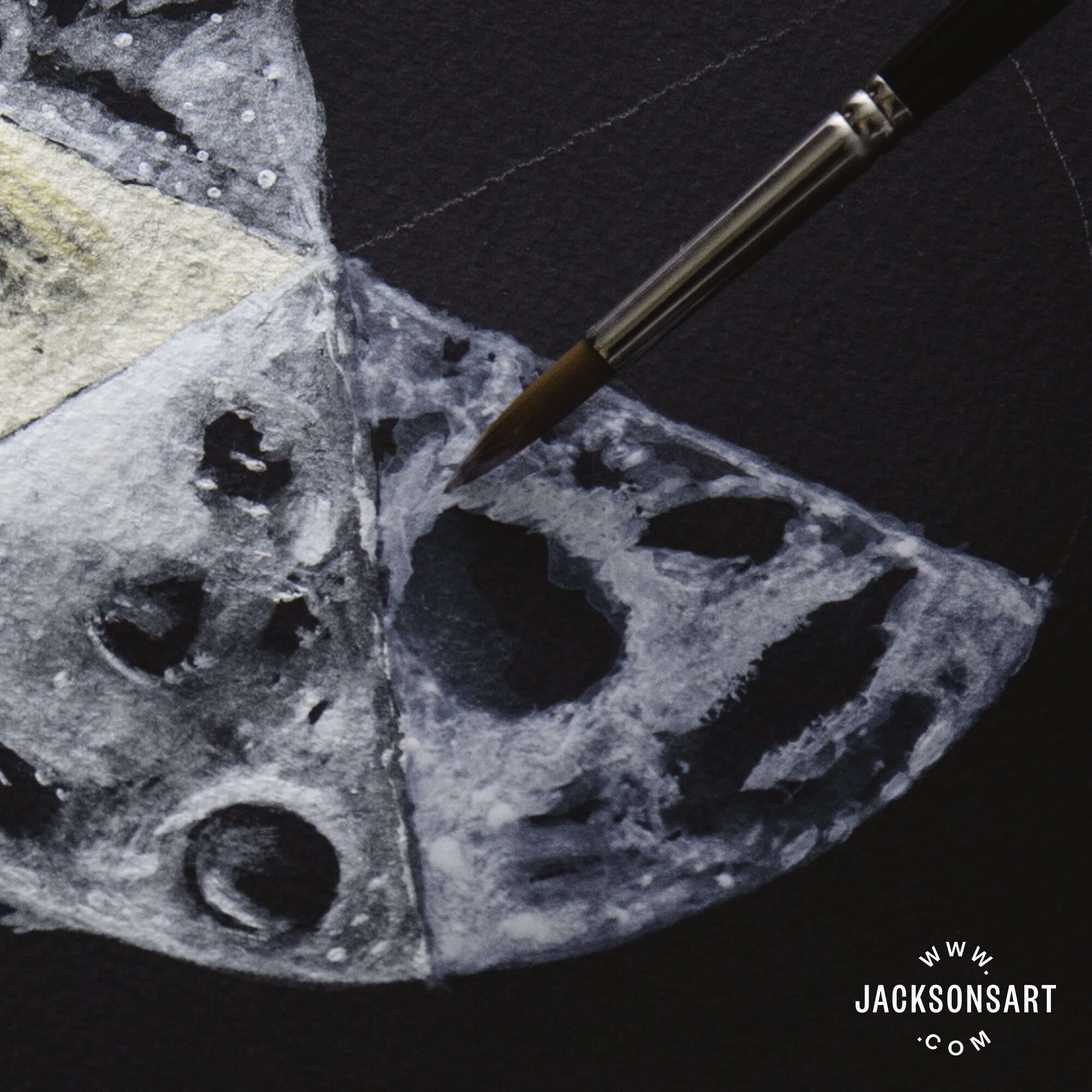 Review of Coliro Pearlescent Paint - Jackson's Art Blog