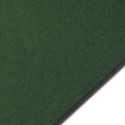 Colorplan Forest Green