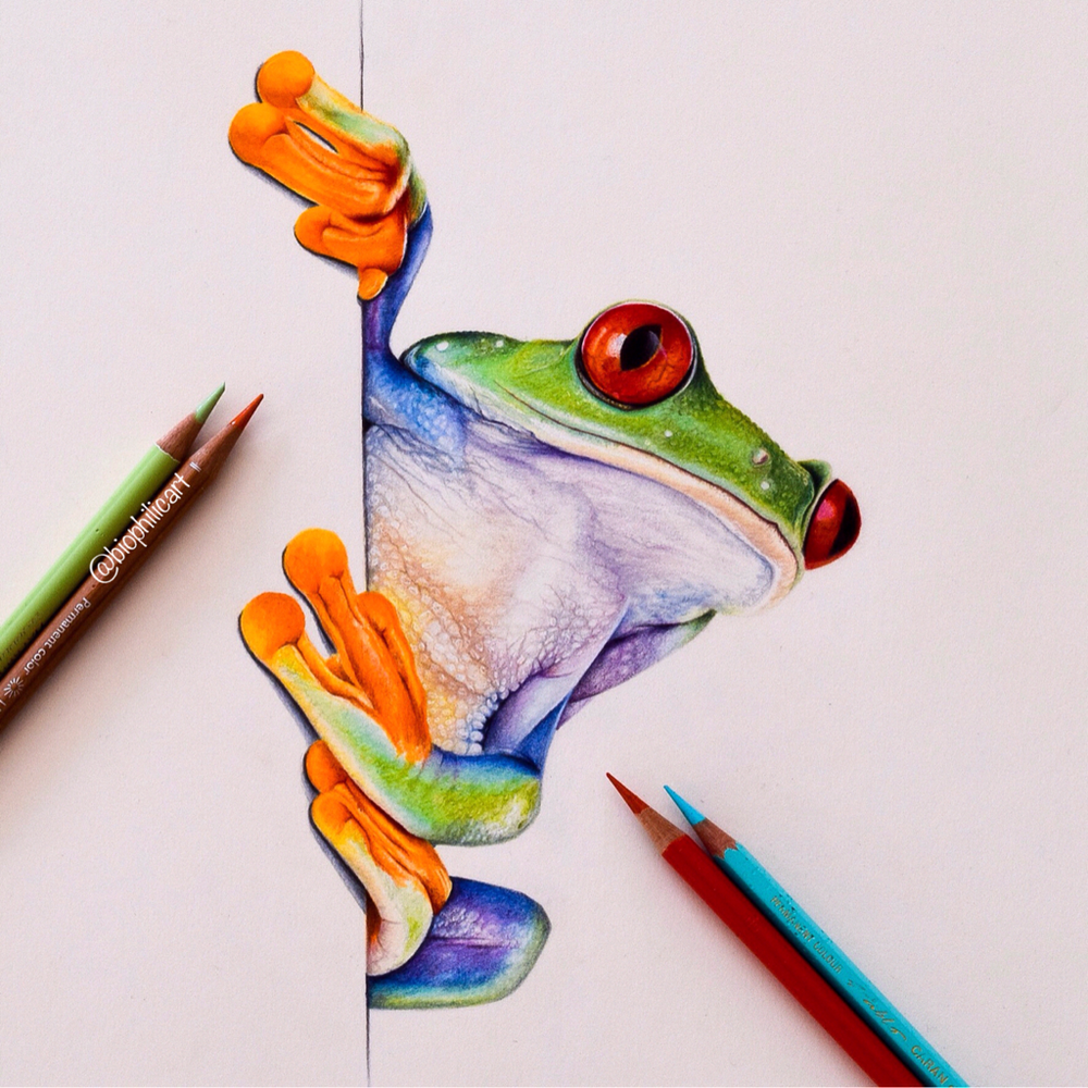 Realistic Colored Pencil Art