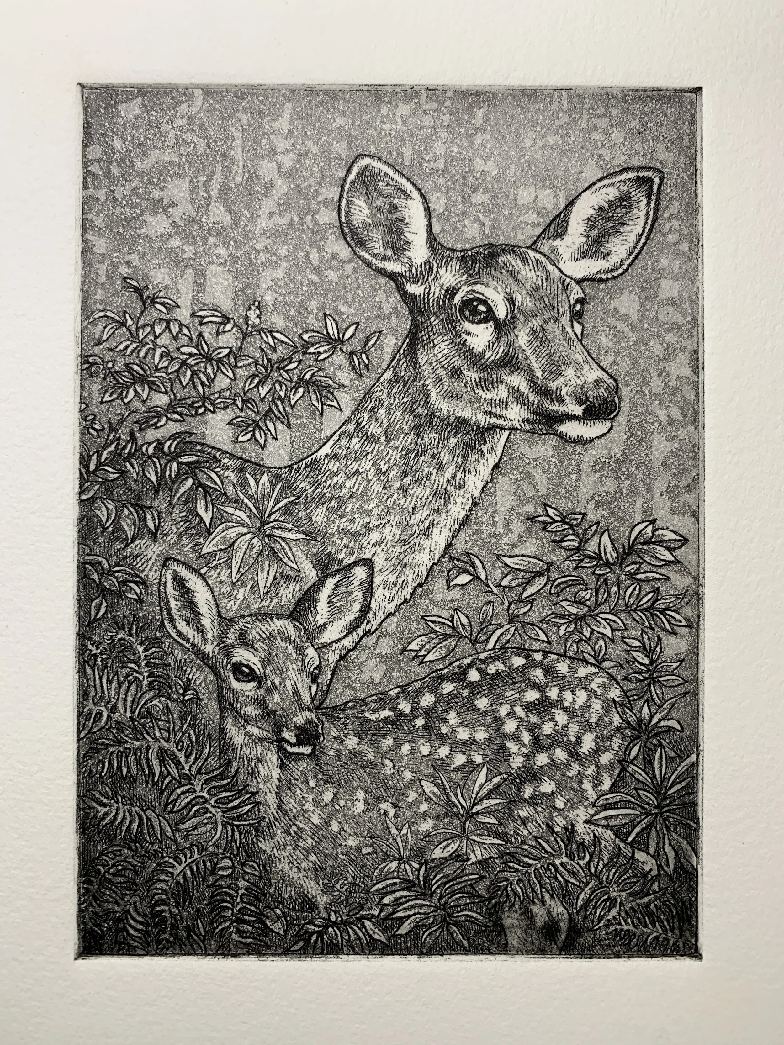Legion Paper - Etching Process with Kathryn Anderson