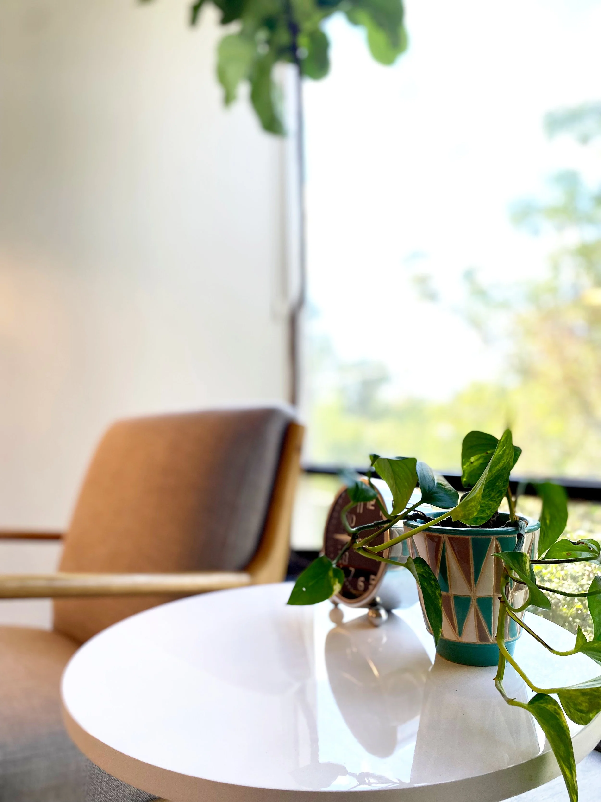 austin-tx-couples-therapy-office-plant.jpg