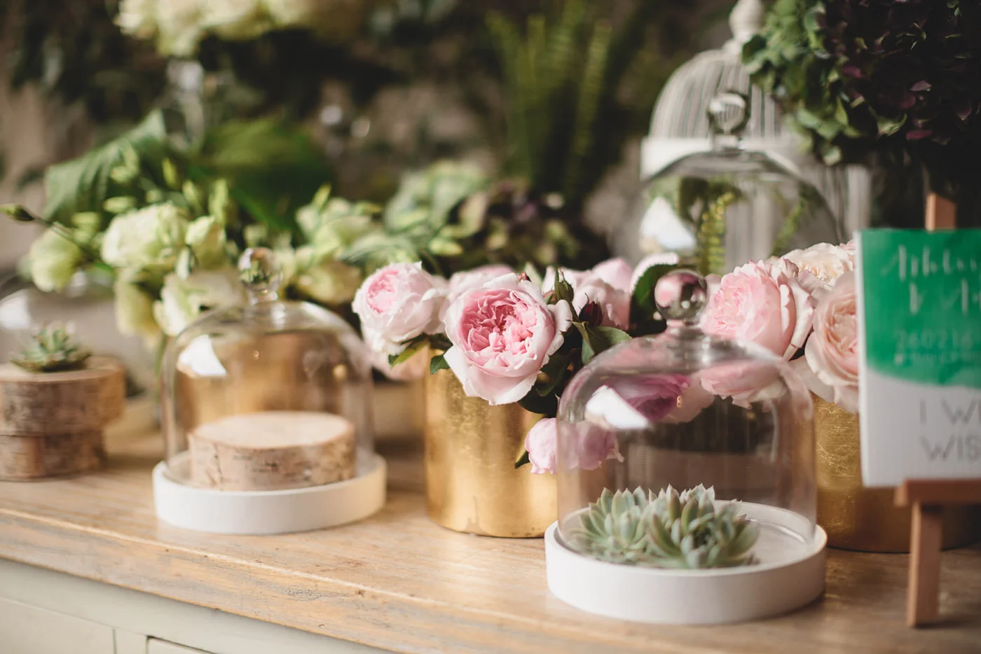 Plants: Warner's Nurseries Flowers: Botanics of Melbourne