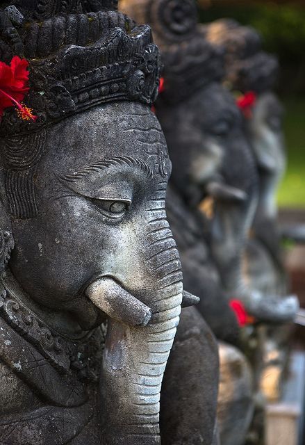 HANUMAN'S HAND