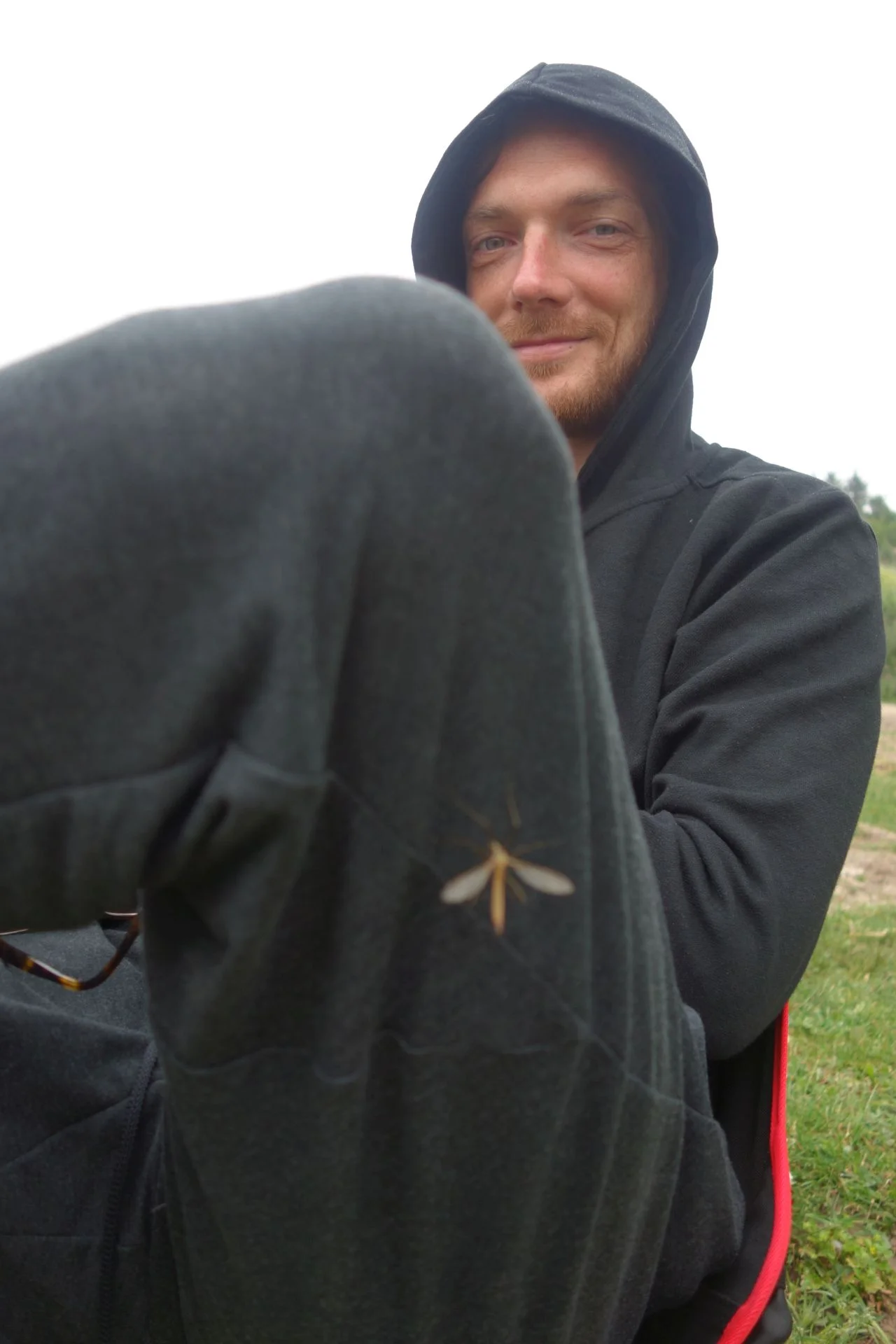 An insect interfering with my Karl Lagerfeld moment.