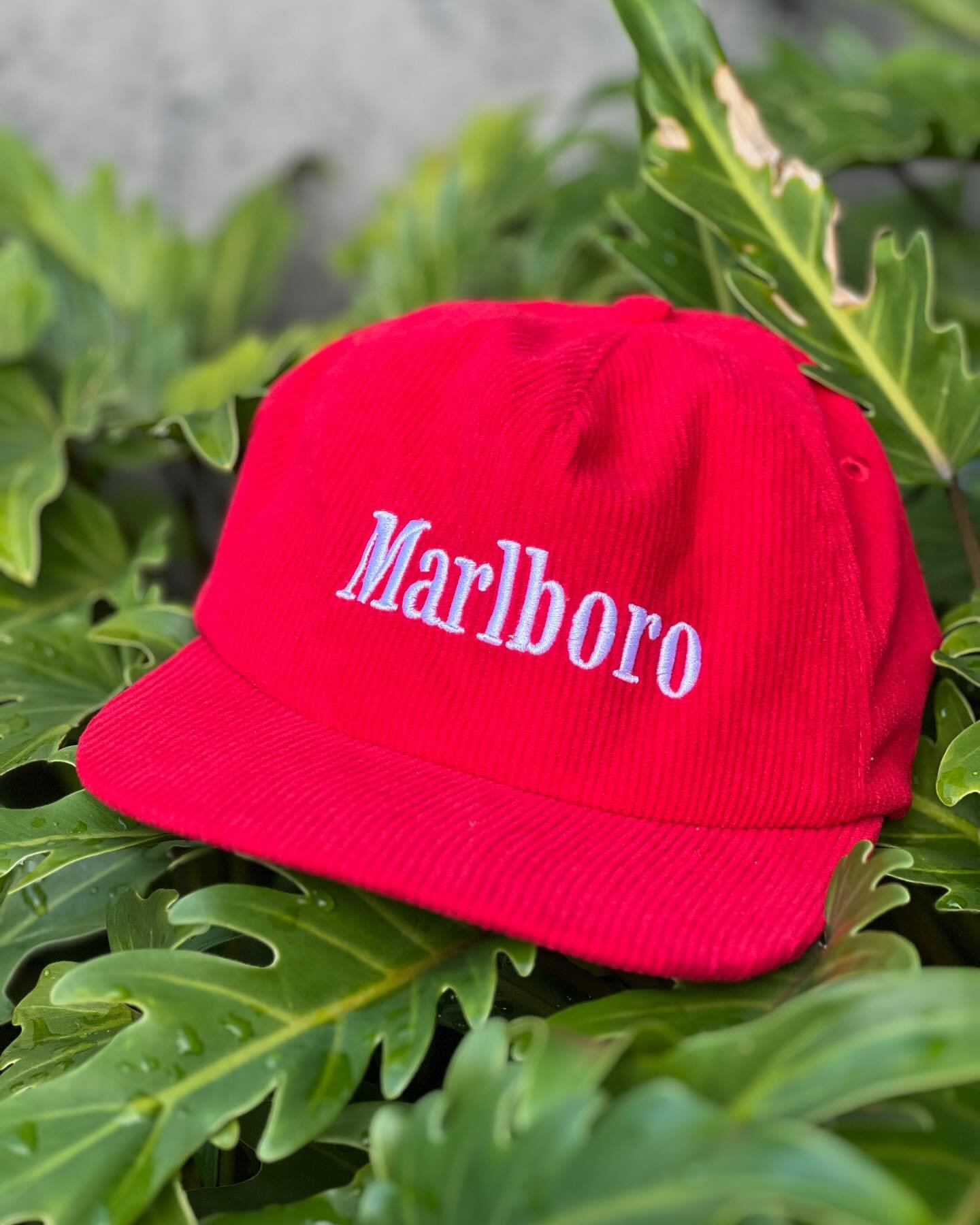 Marlboro Cap - see today&rsquo;s stories to cap.