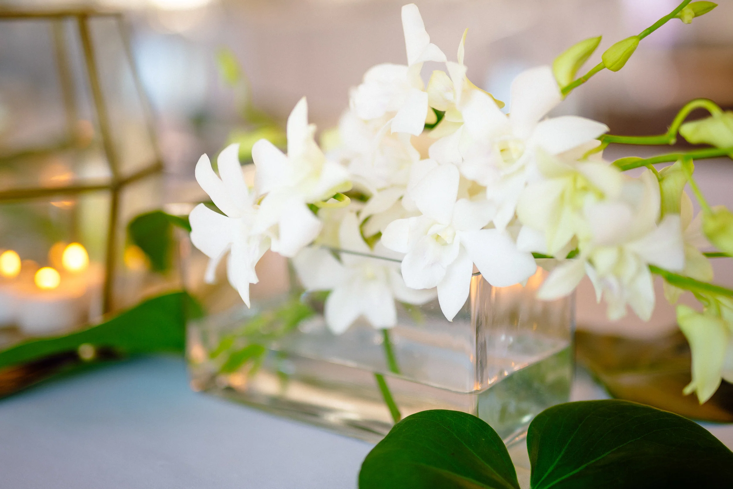 Reception photographer wedding Captiva.jpg