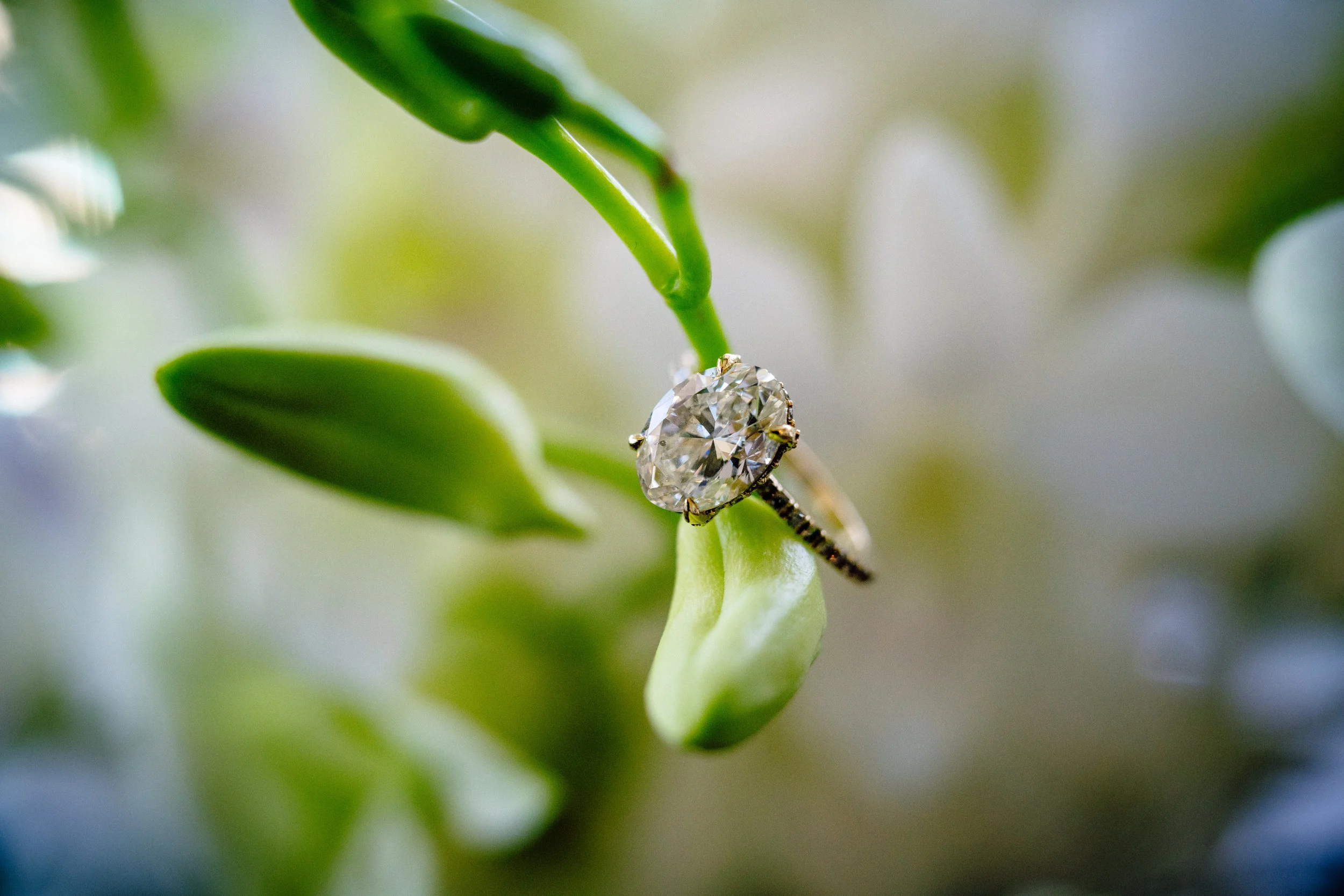 South Seas Kelly McWilliams wedding photographer Matt Steeves Photography