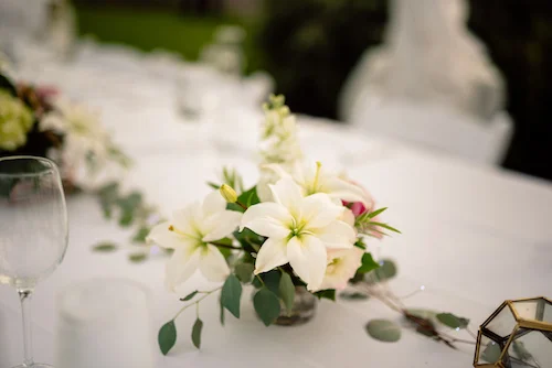 South Seas Island Resort Matt Steeves Photography Weddings Kelly McWilliams Captiva 3.jpg