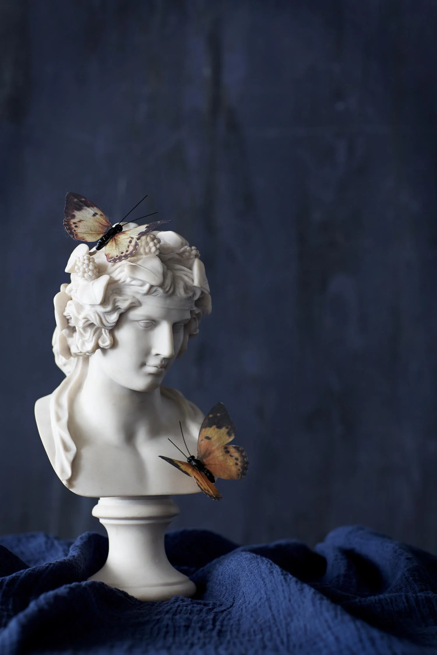 _U9A9287NightGarden171016.jpg