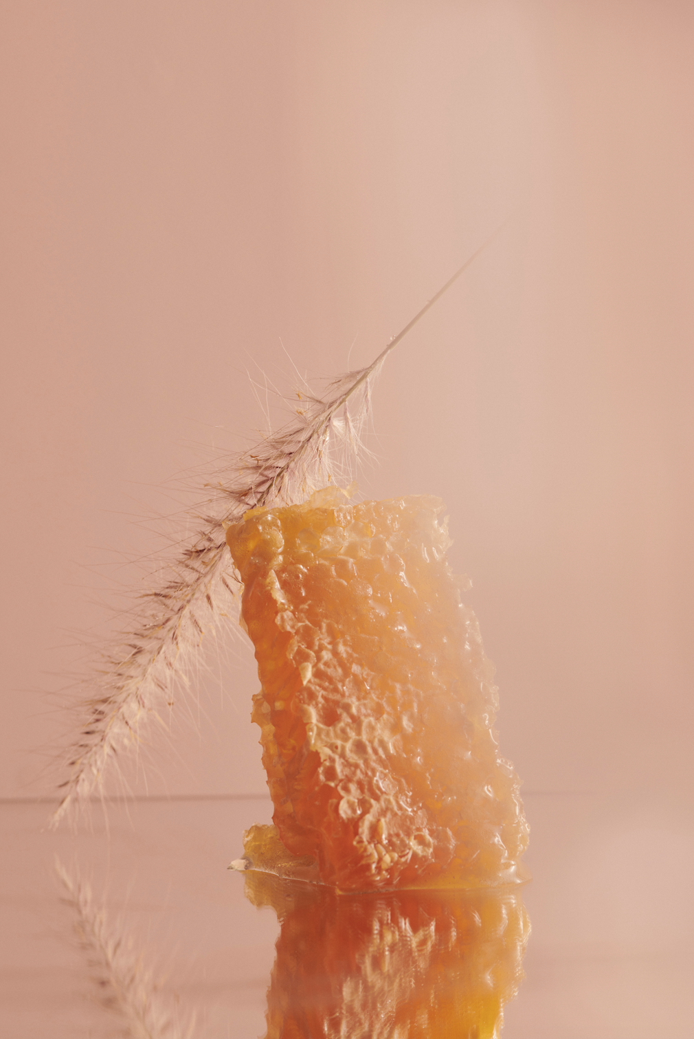 Screenshot 2025-02-26 at 11.54.22 am.png