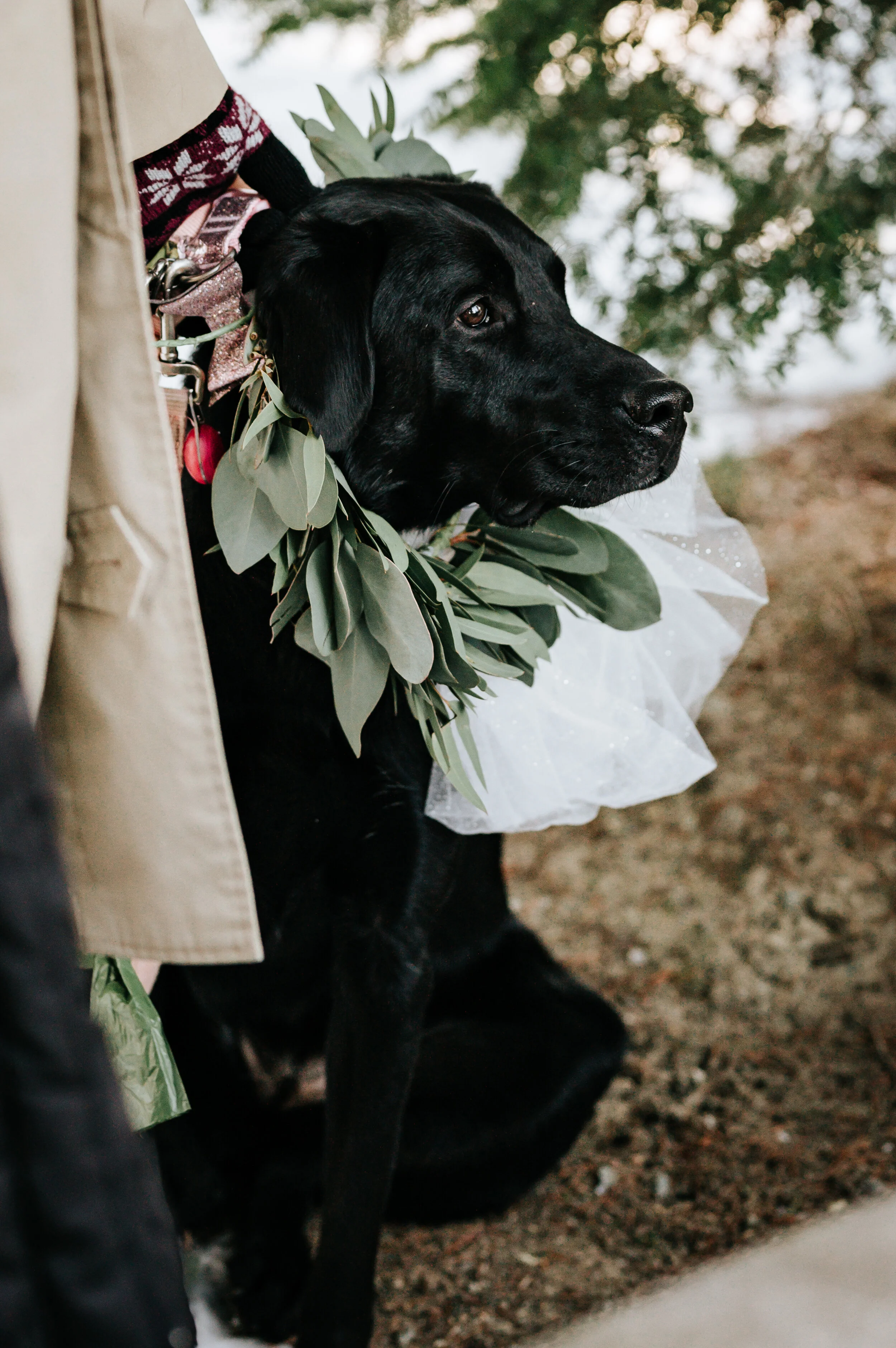 Ceremony89 - Copy.jpg