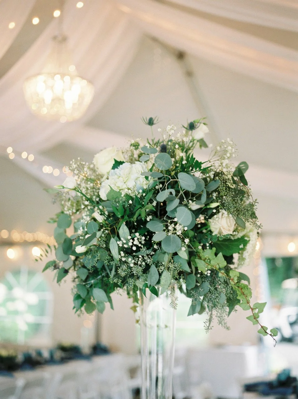 Teryn Lee Photography979.jpeg