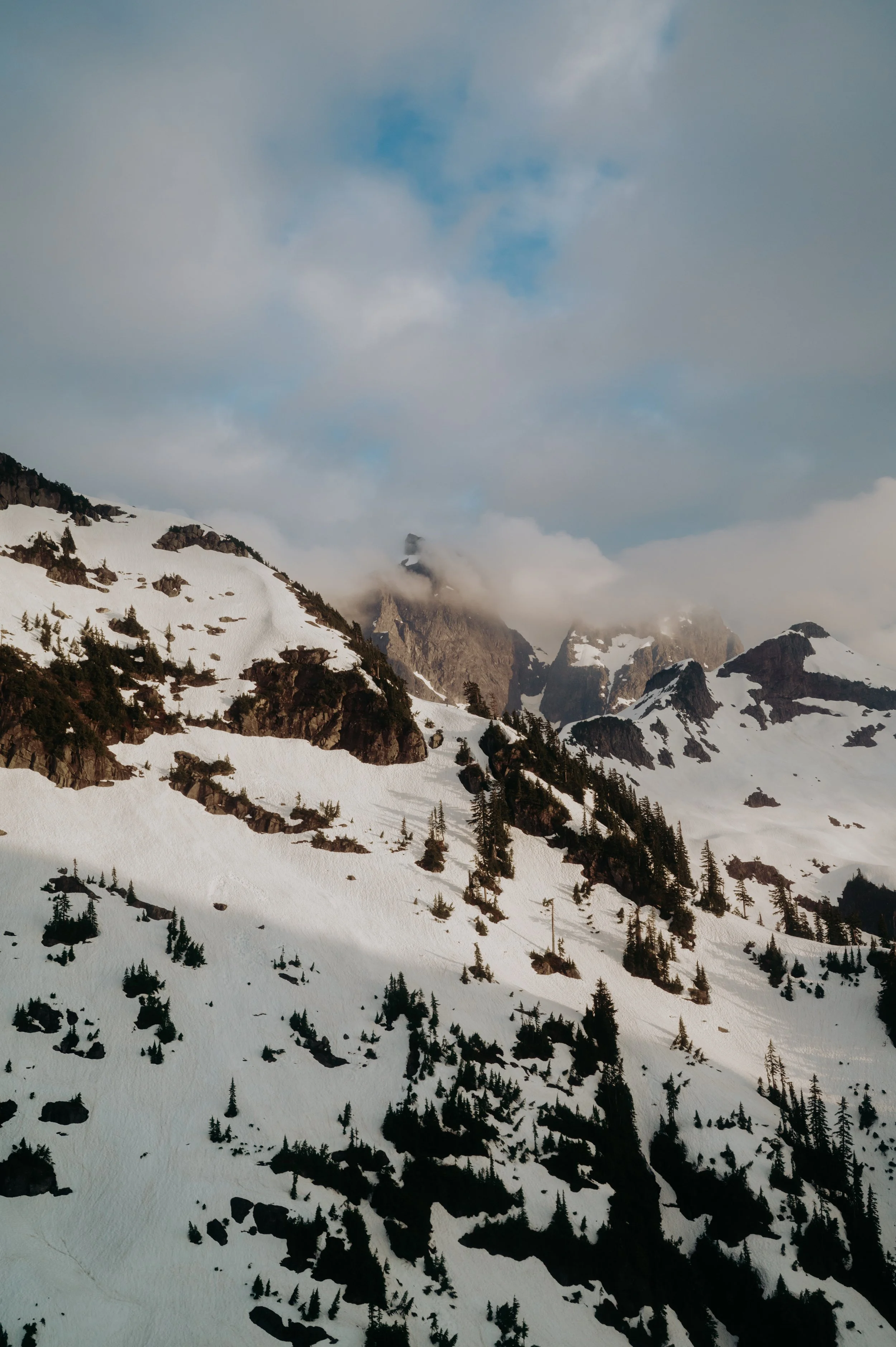 Cheryl & Craig Sneaks-81.jpg