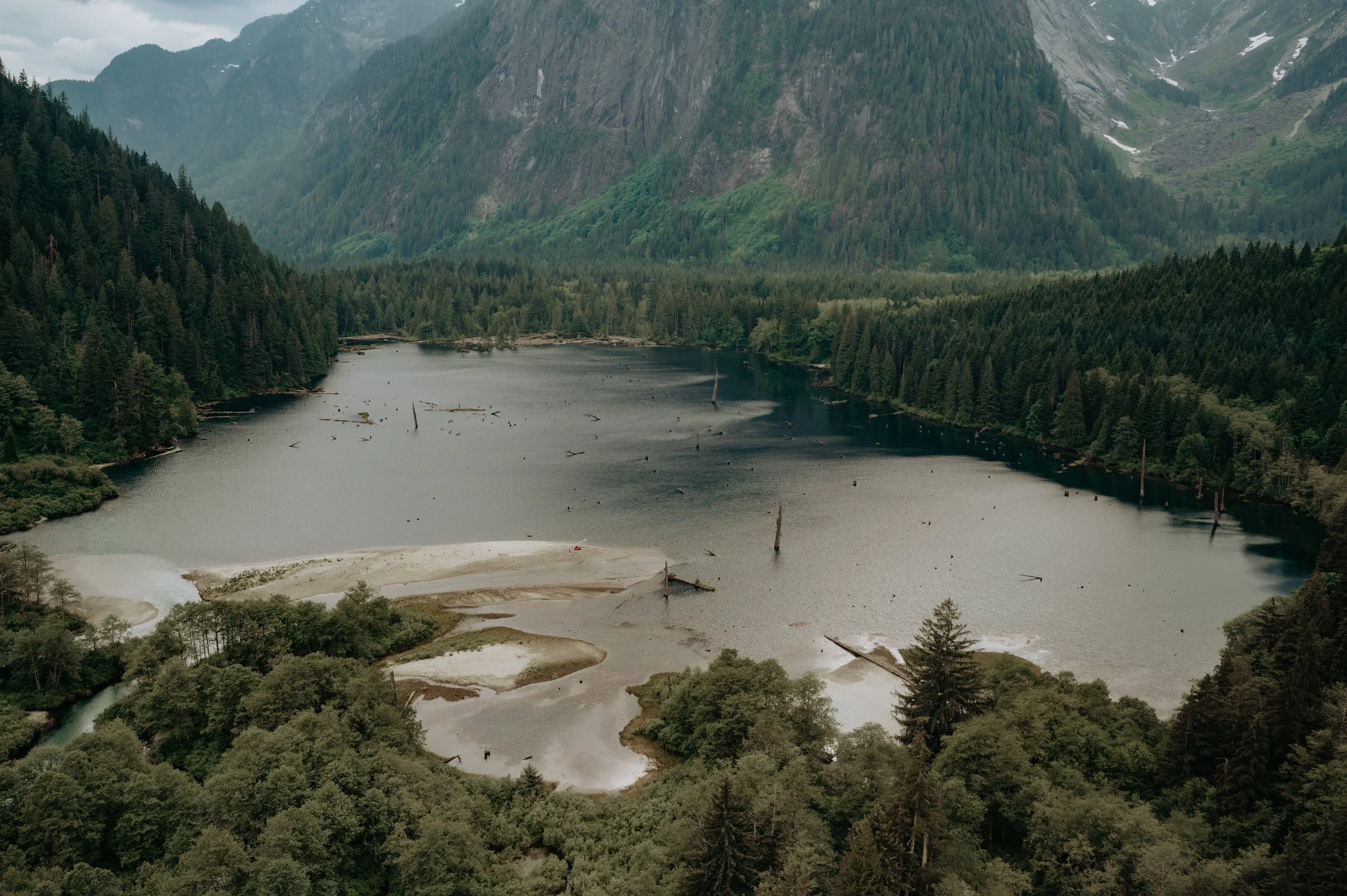 Cheryl & Craig Sneaks-24.jpg