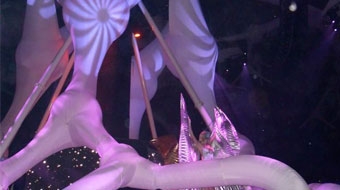 Sensation-NYE---edited_0.jpg