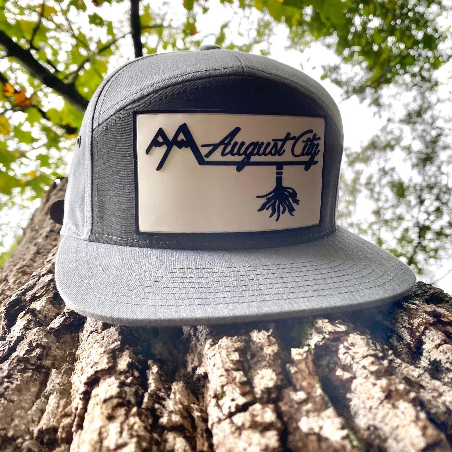 1EC12AA8-8126-46E6-9CDF-924D33FAB925