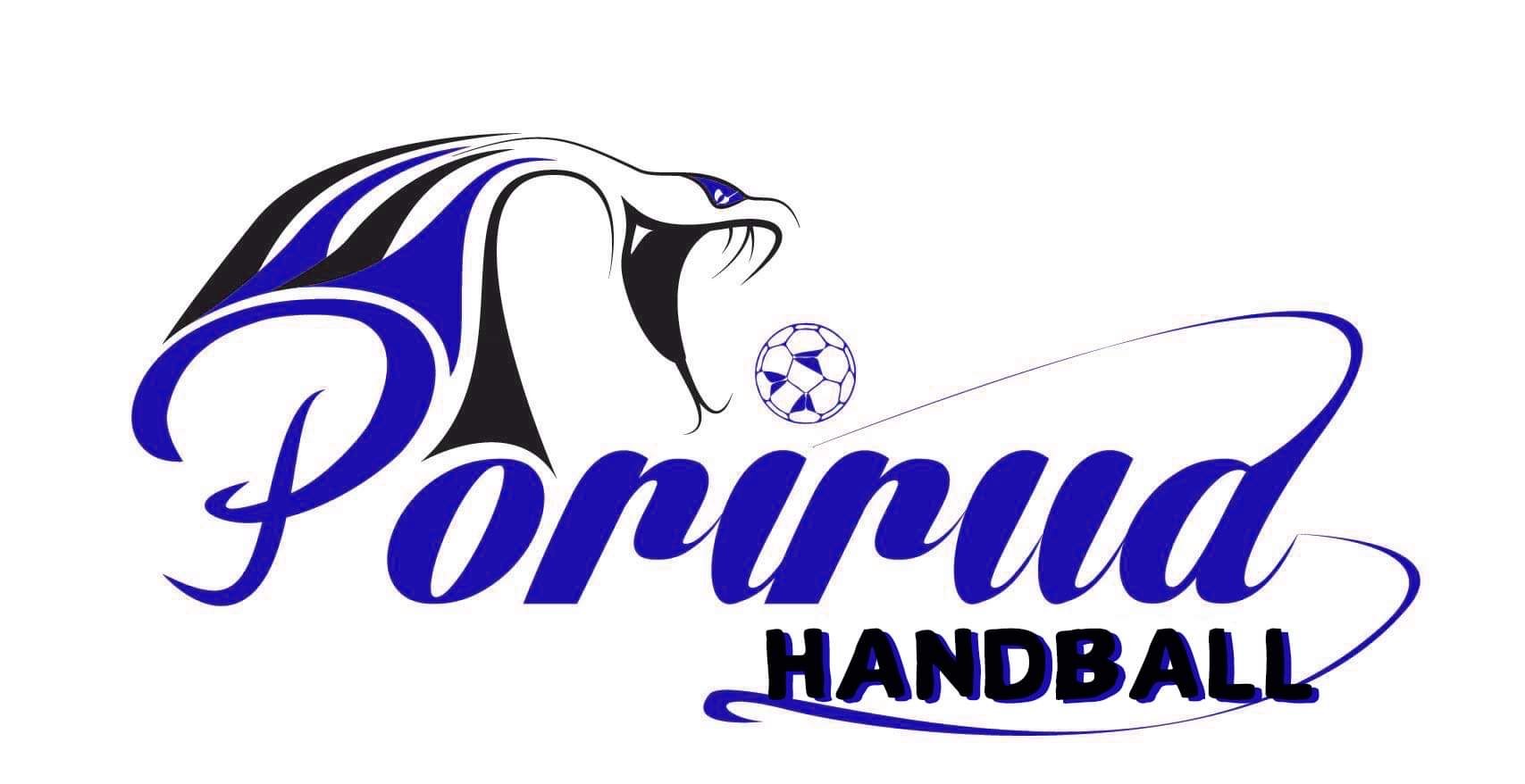 Welcome to Porirua Handball