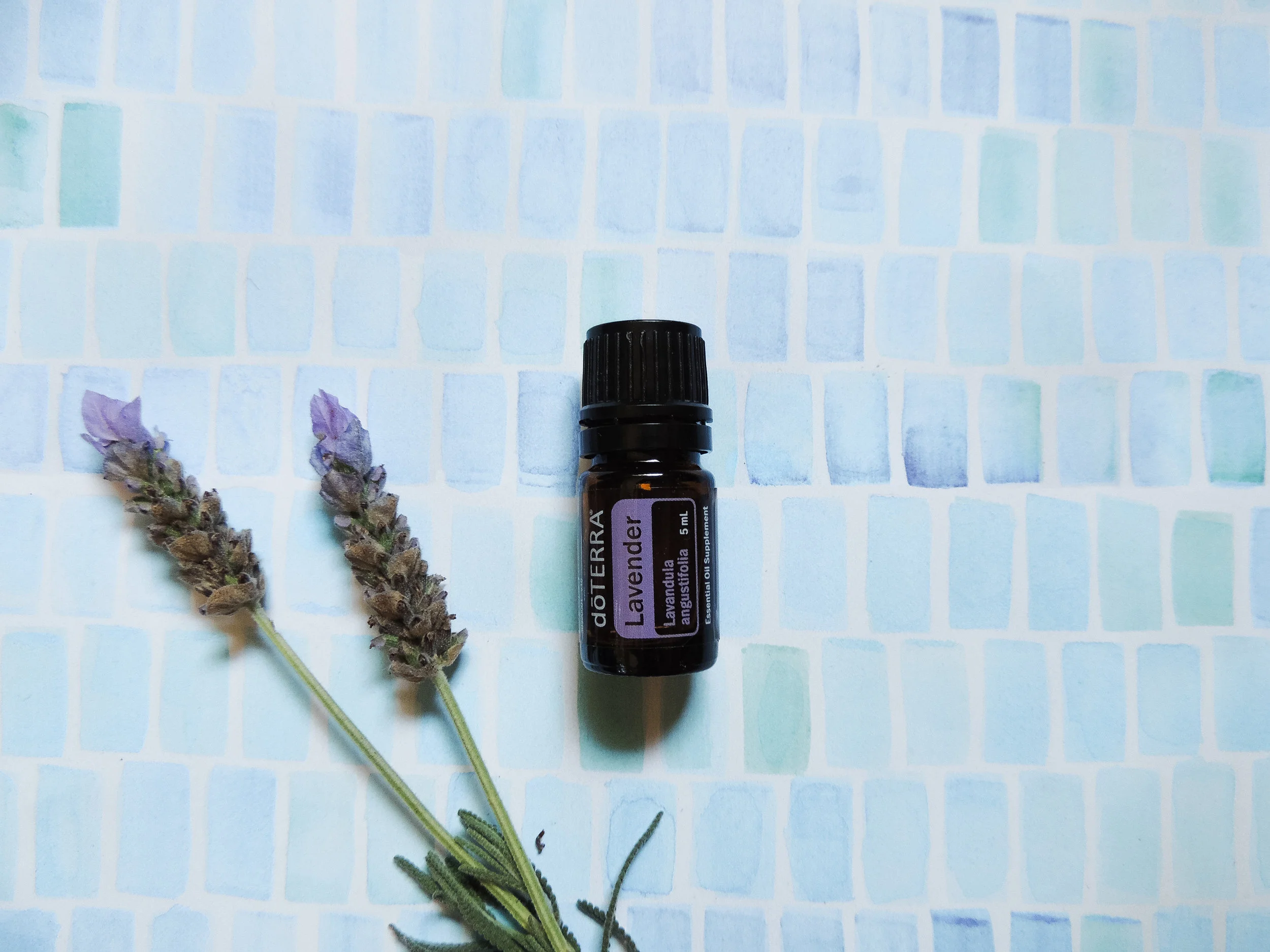 5 Ways To Calm Down This Fall