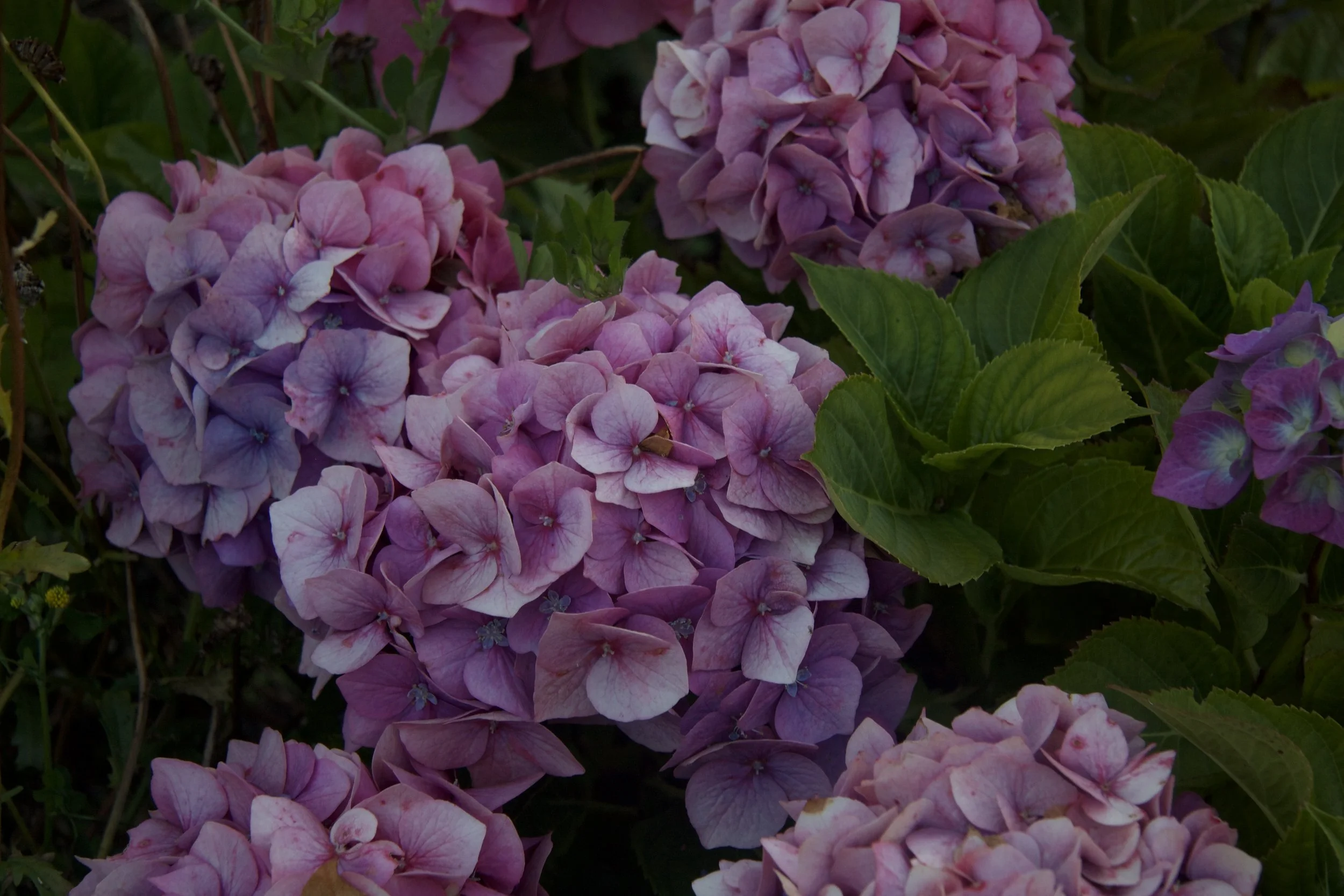 The 5 Best Ways To Get Through A Bad Day