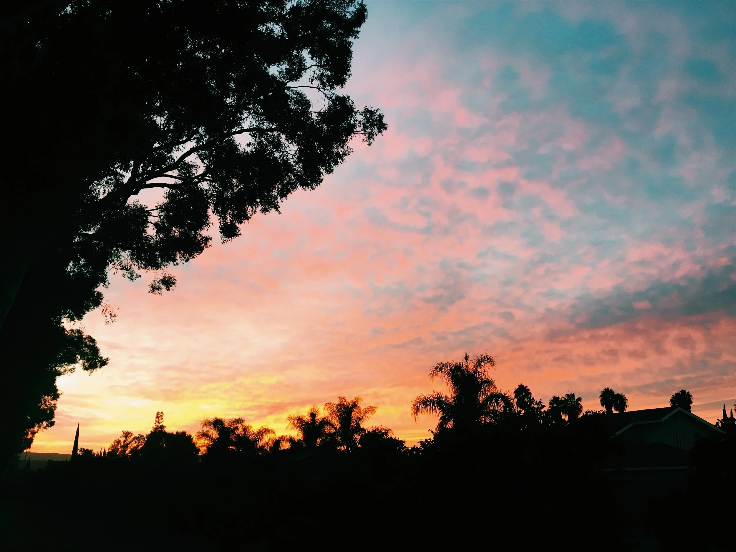 The number of sunset pictures I have on my phone from walks... I mean..