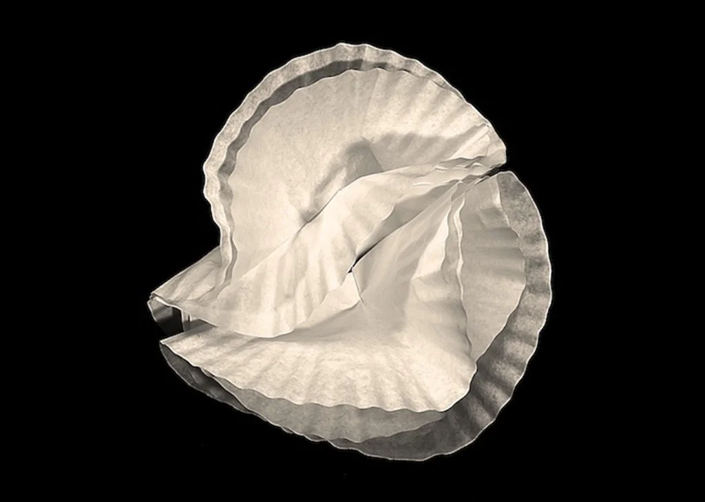 2016 coffee filters 03 3