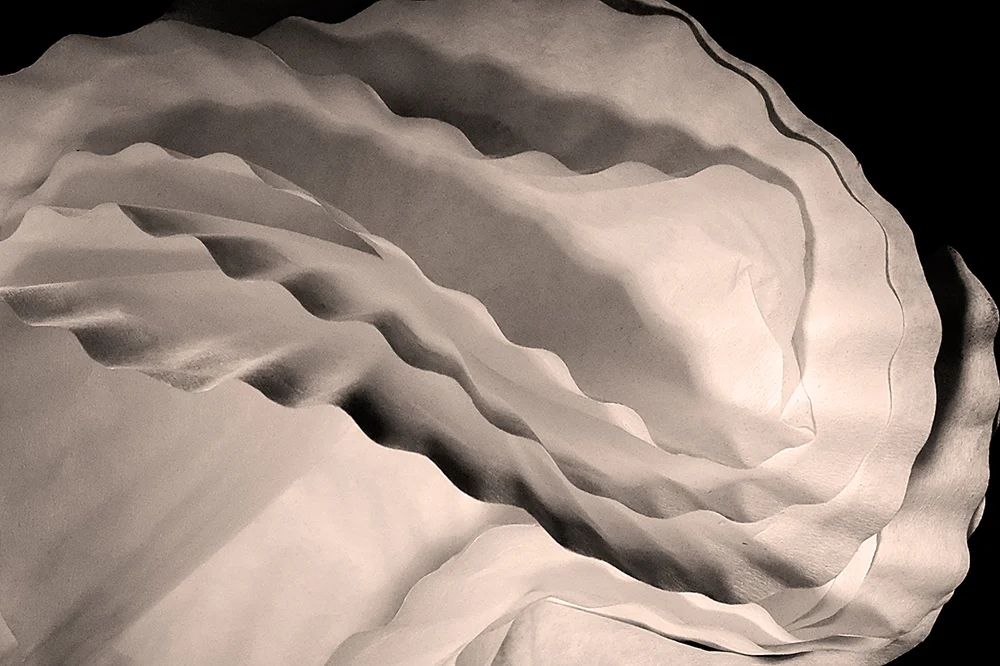 2016 coffee filters 05 7