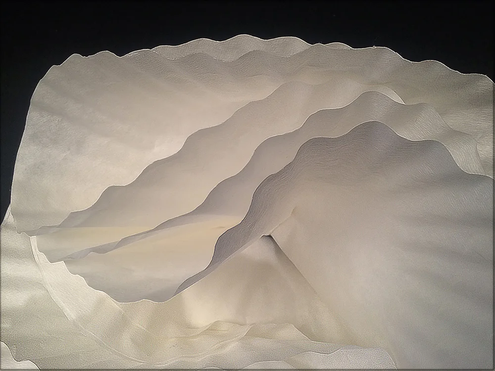 2016 coffee filters 5