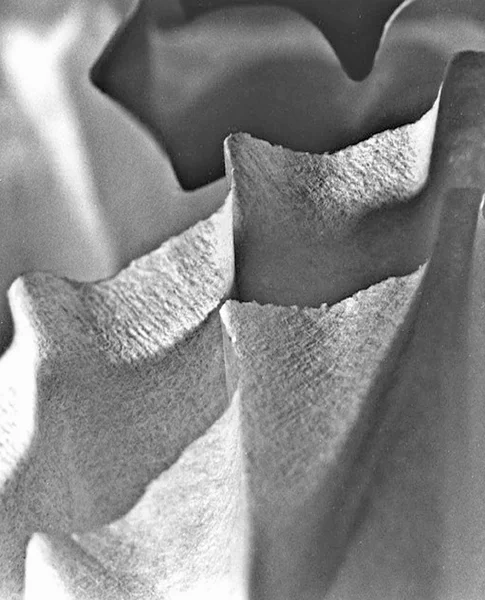 coffee filters silver gelatin print