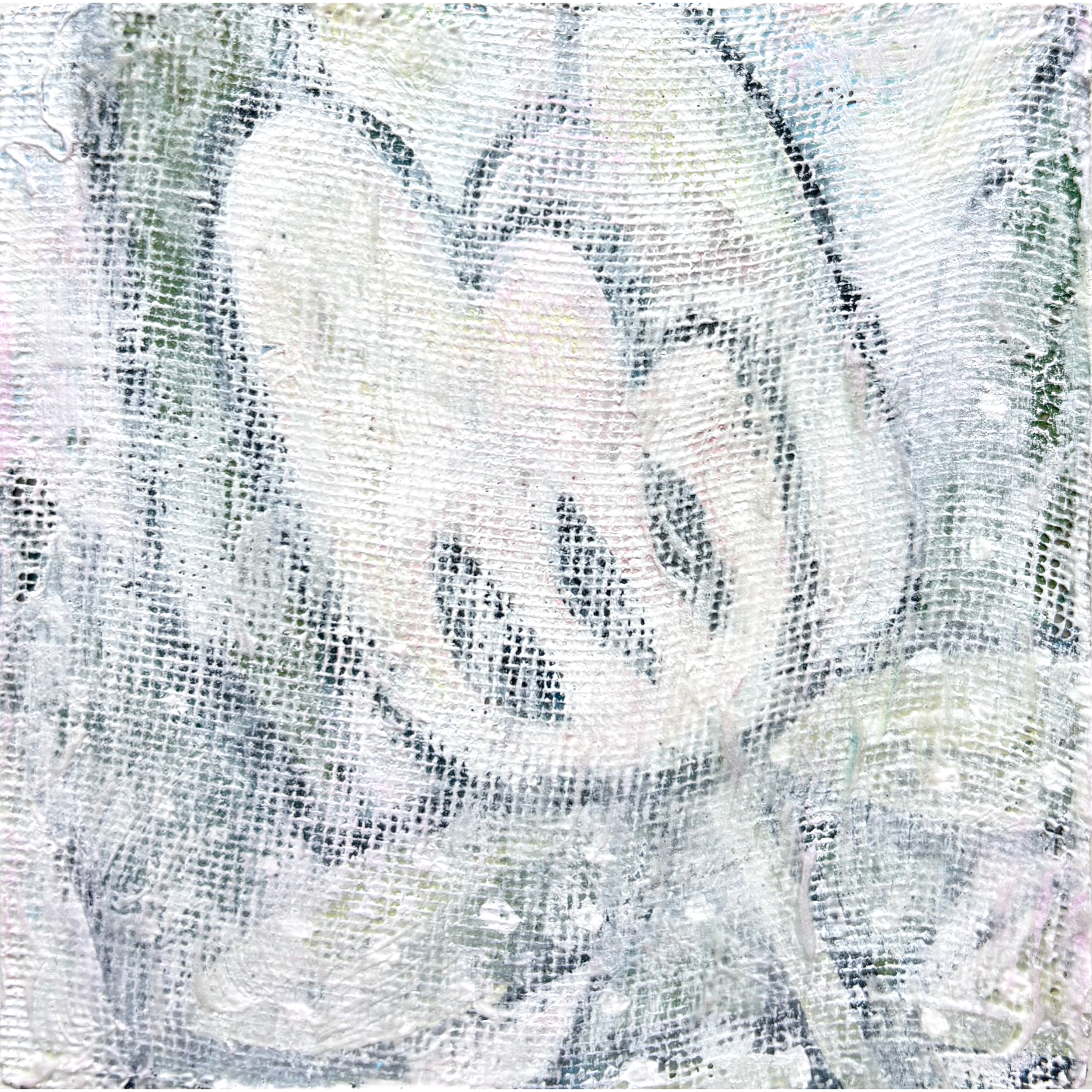 IMG_2143.png