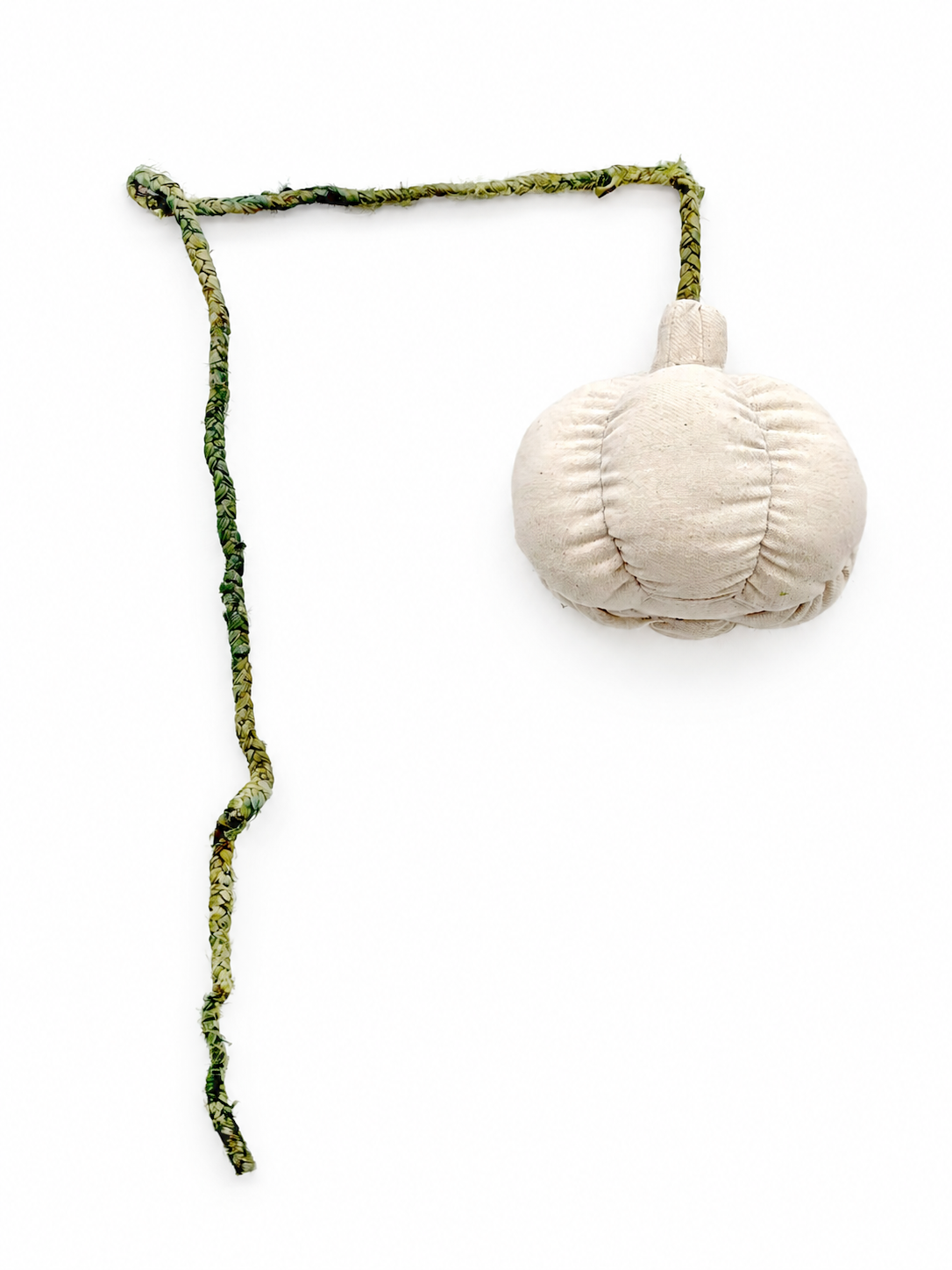 Mutated Bulb (single), 2026(3).png
