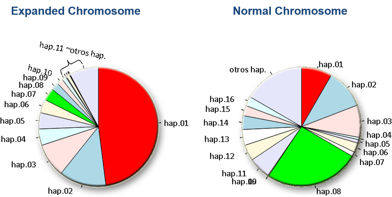 Distribution_Haplotypes_HD.png
