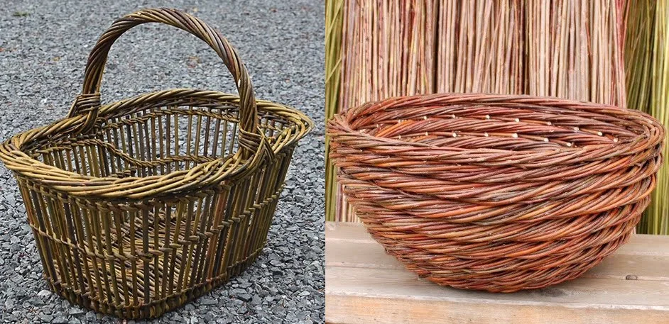 WFNW 2026: Willow Immersion with Katherine Lewis