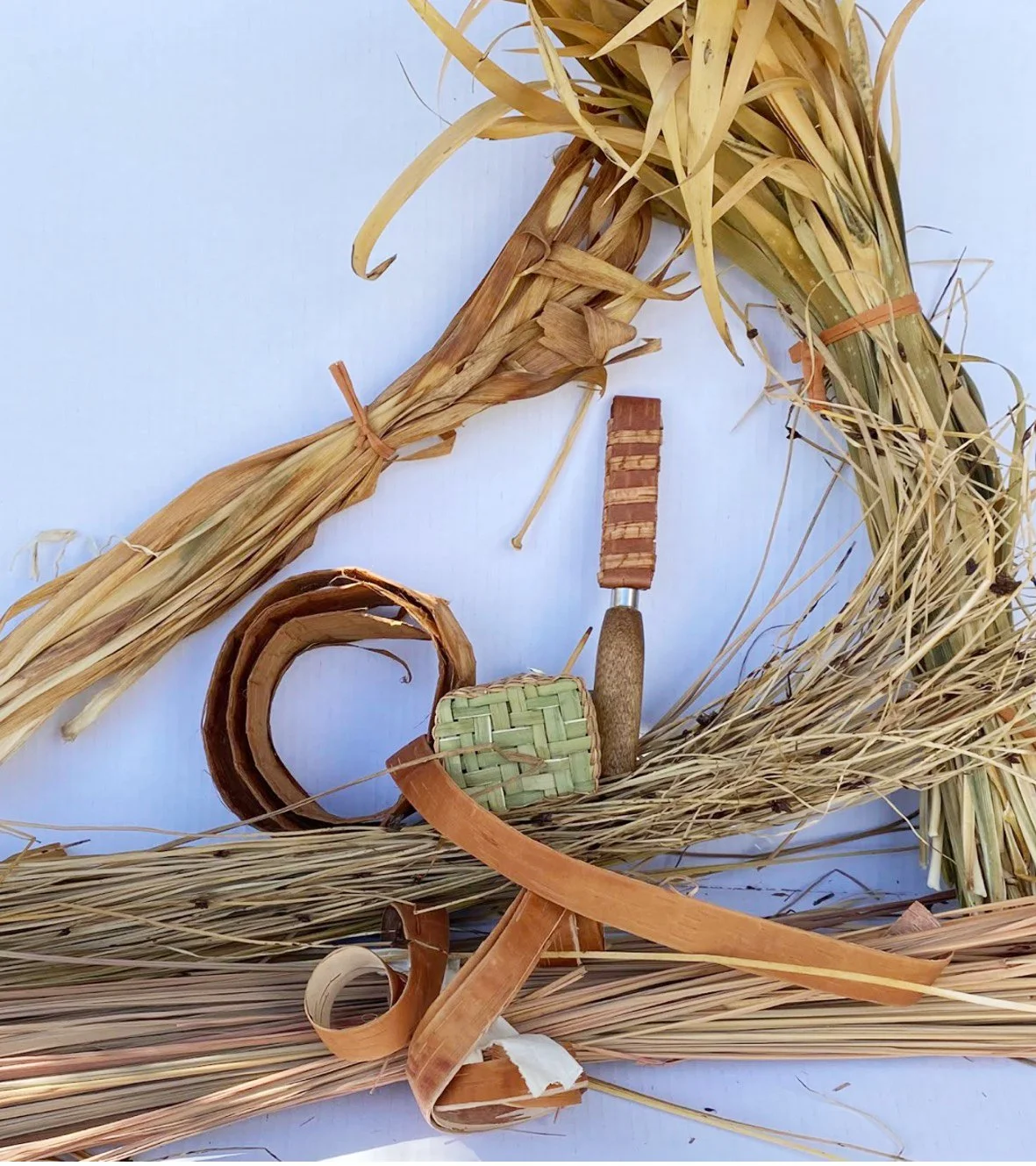 cbbg basketry class observe explore discover.jpg