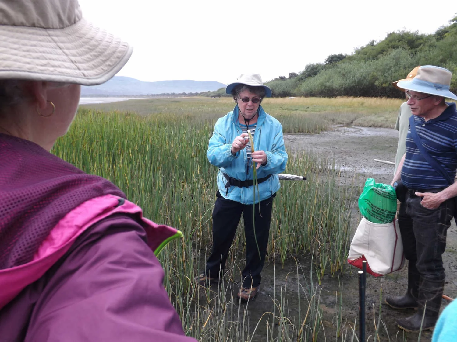Sweetgrass gathering on the Oregon Coast.