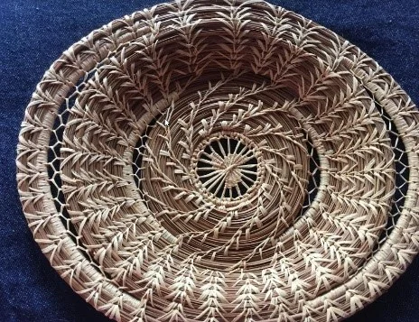 Pine Needle (1).jpg