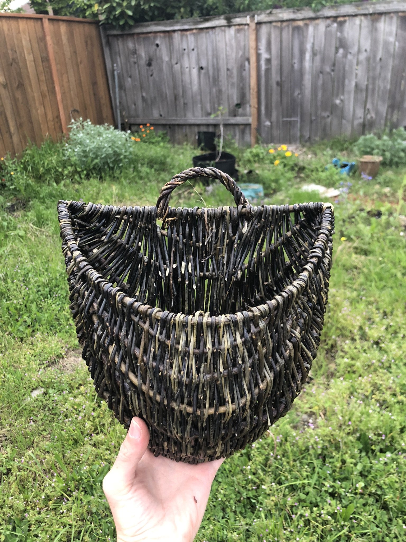 molly steadman willow basket 2.jpeg