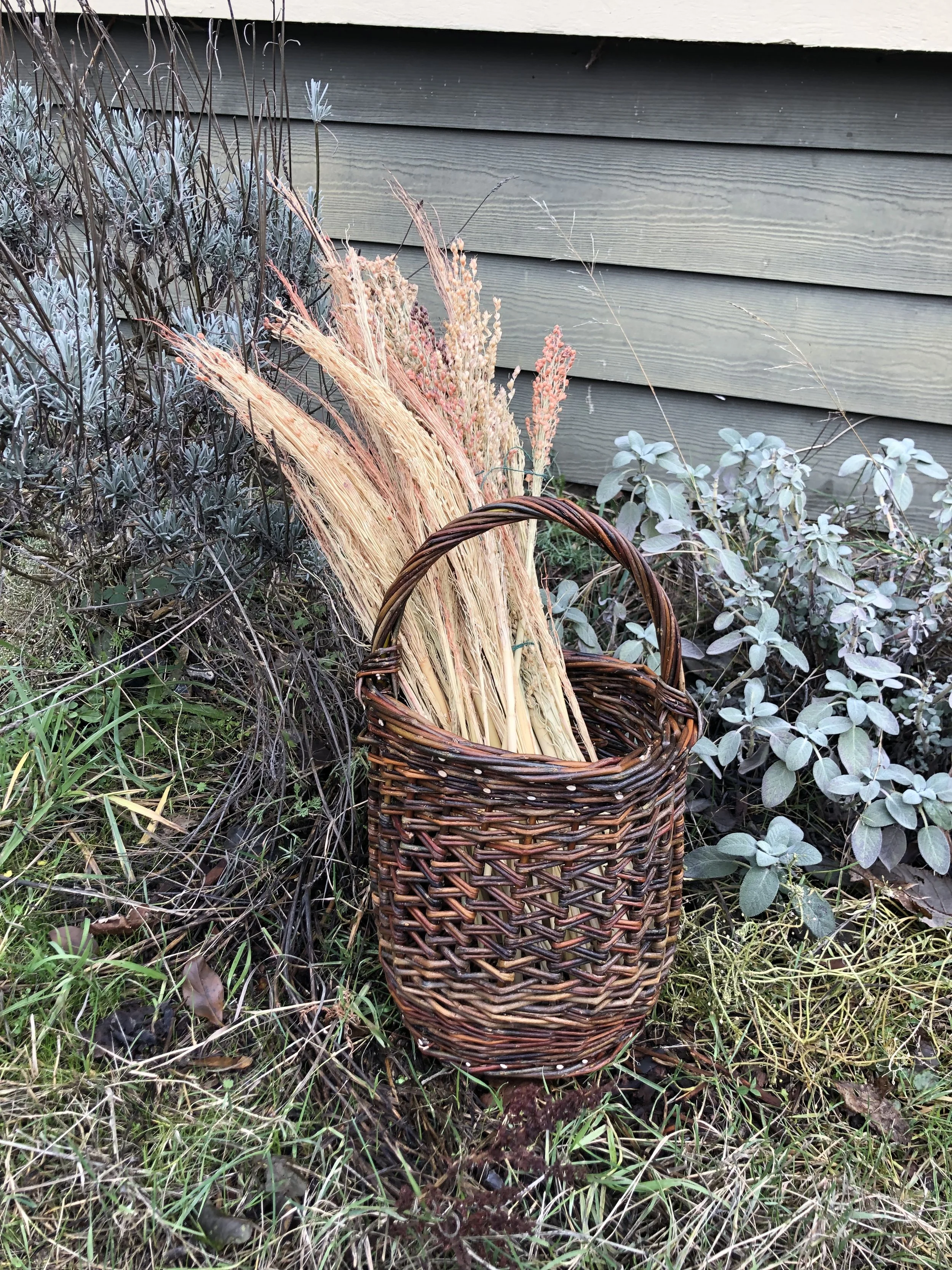 molly steadman basket 3.jpeg