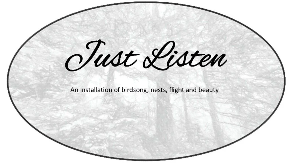 CBBG Call to Artists, "Just Listen": An Installation of Birdsong, Nests, Flight, &amp; Beauty