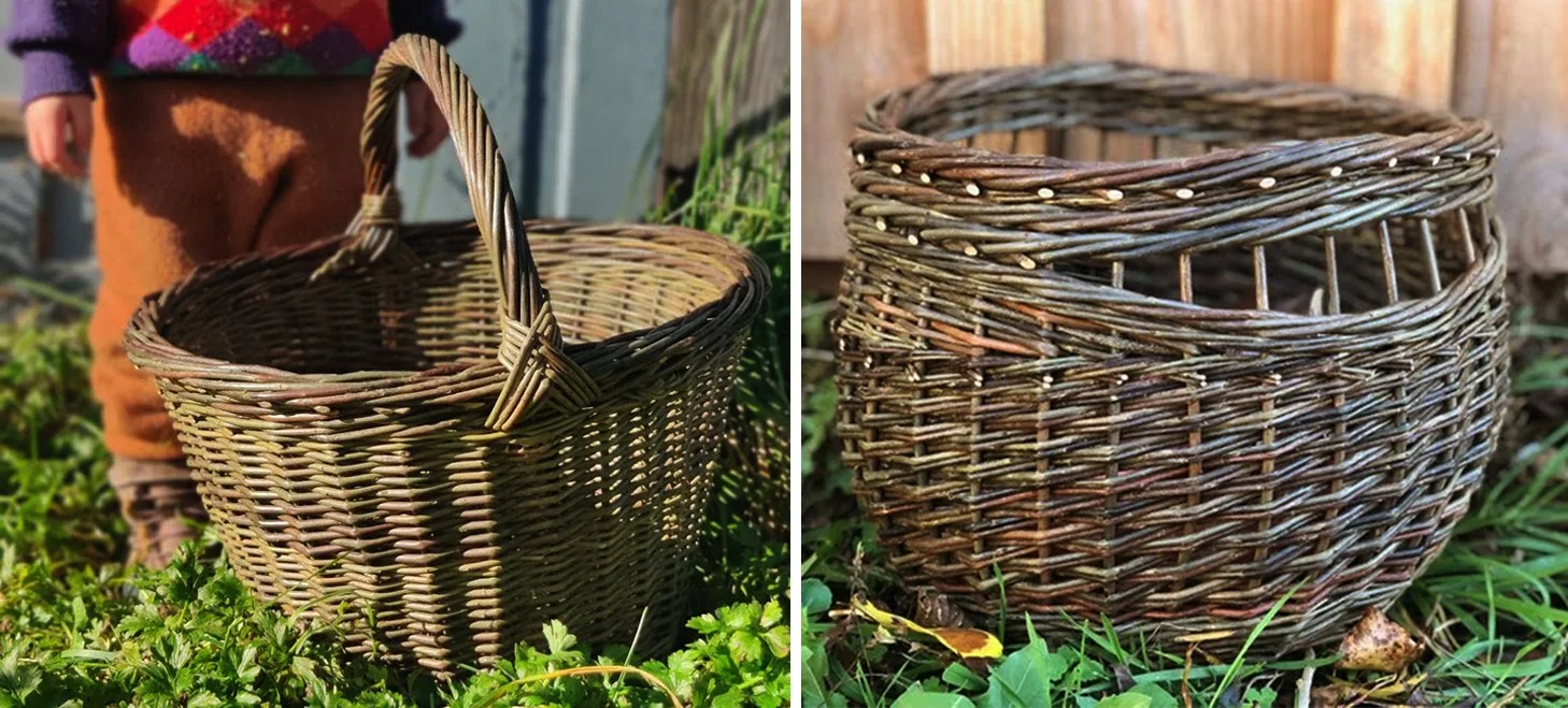 WFNW 2026: Weaving Fundamentals with Mo Hohmann (Wait list only)