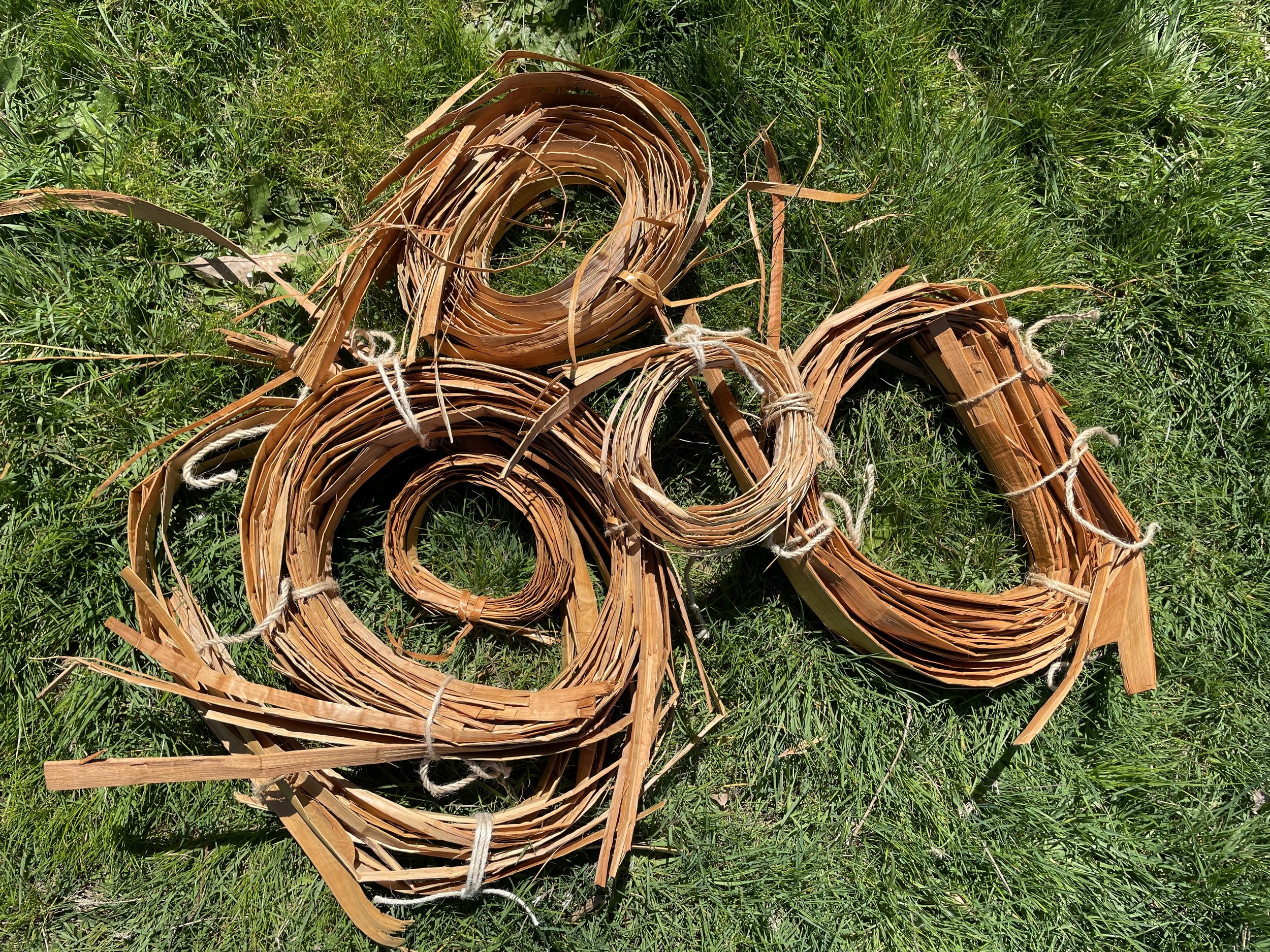 Cedar Bark Gathering 2026