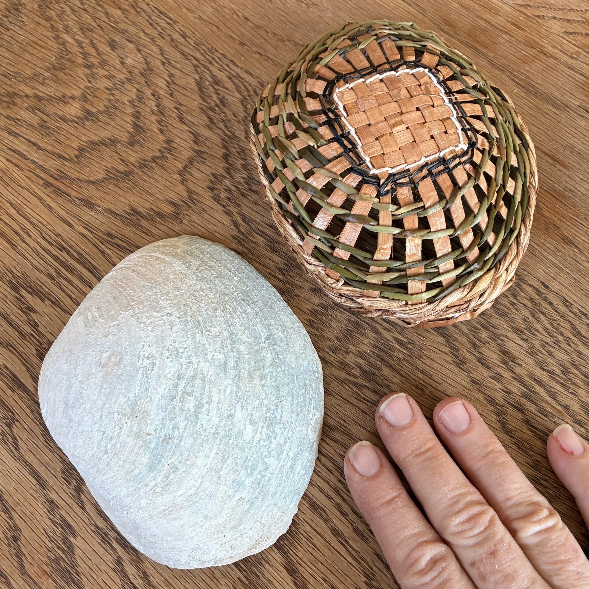 House for a Shell